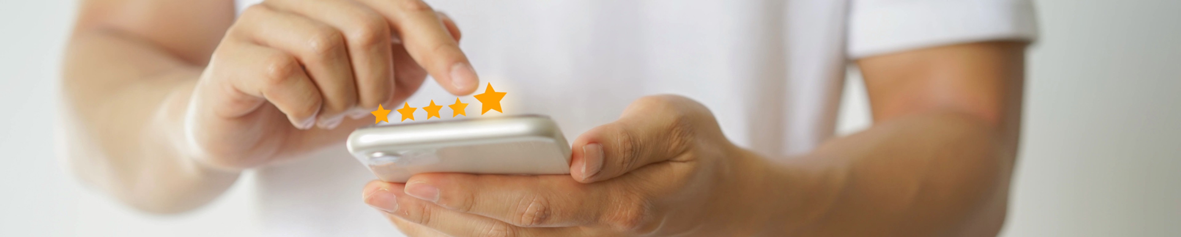 Customer Reviews (1 of 1)